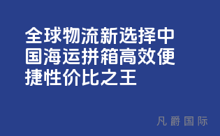 全球物流新选择，中国海运拼箱，高效便捷，性价比之王！